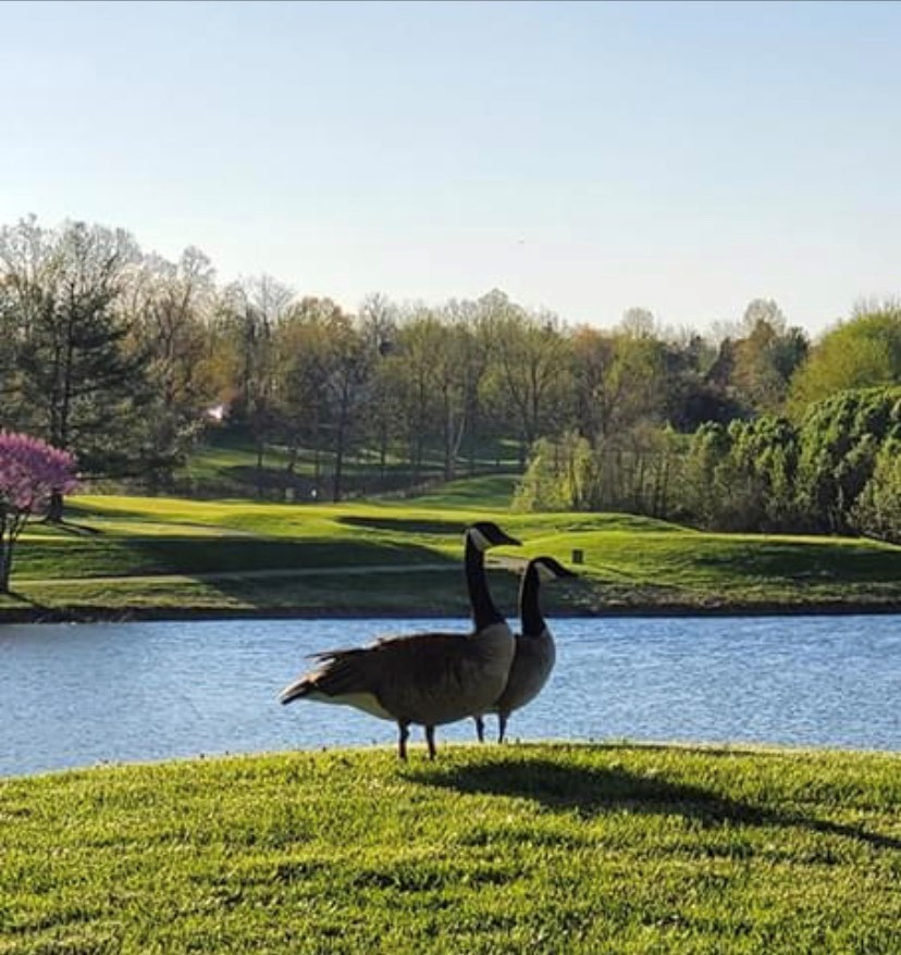 Golf Course and Country Club Polo Fields Community Association